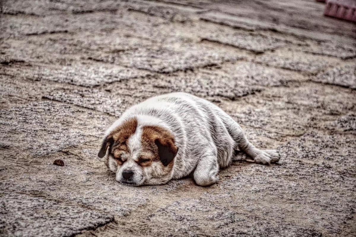 阳光照耀的海水浴场,我不想动,只想趴着