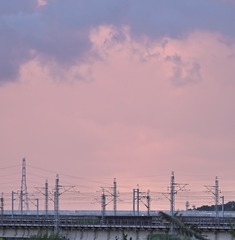 1000036282