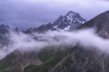 493614