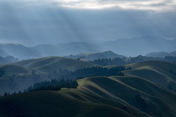 _DSC8789