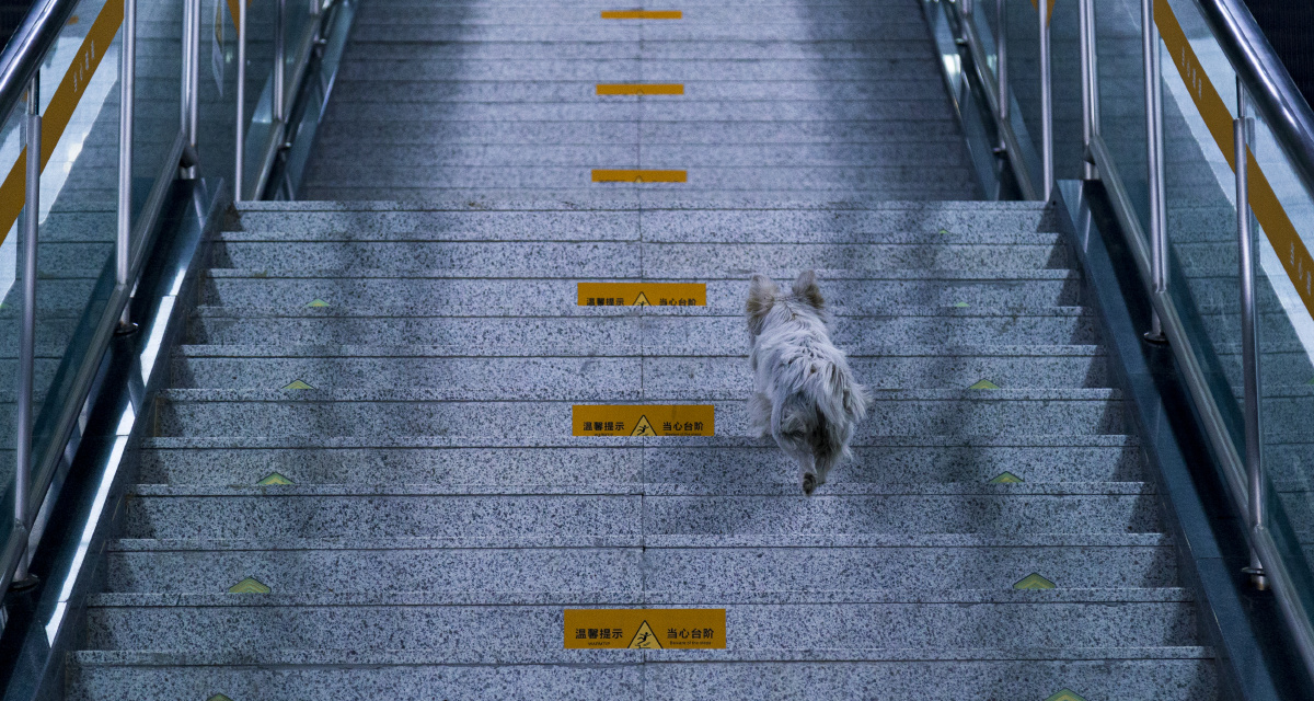 上下楼梯靠右走