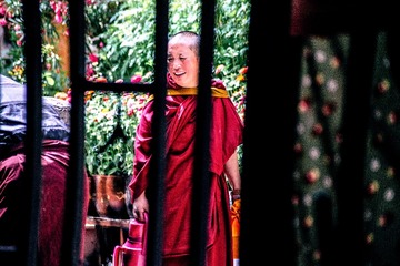 DSC_8337(2)