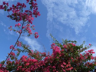 20130526-R0010094.jpg