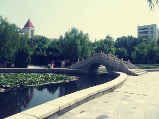 SAM_0749_副本.jpg
