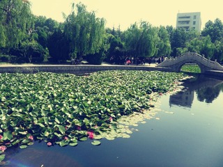 SAM_0753_副本.jpg