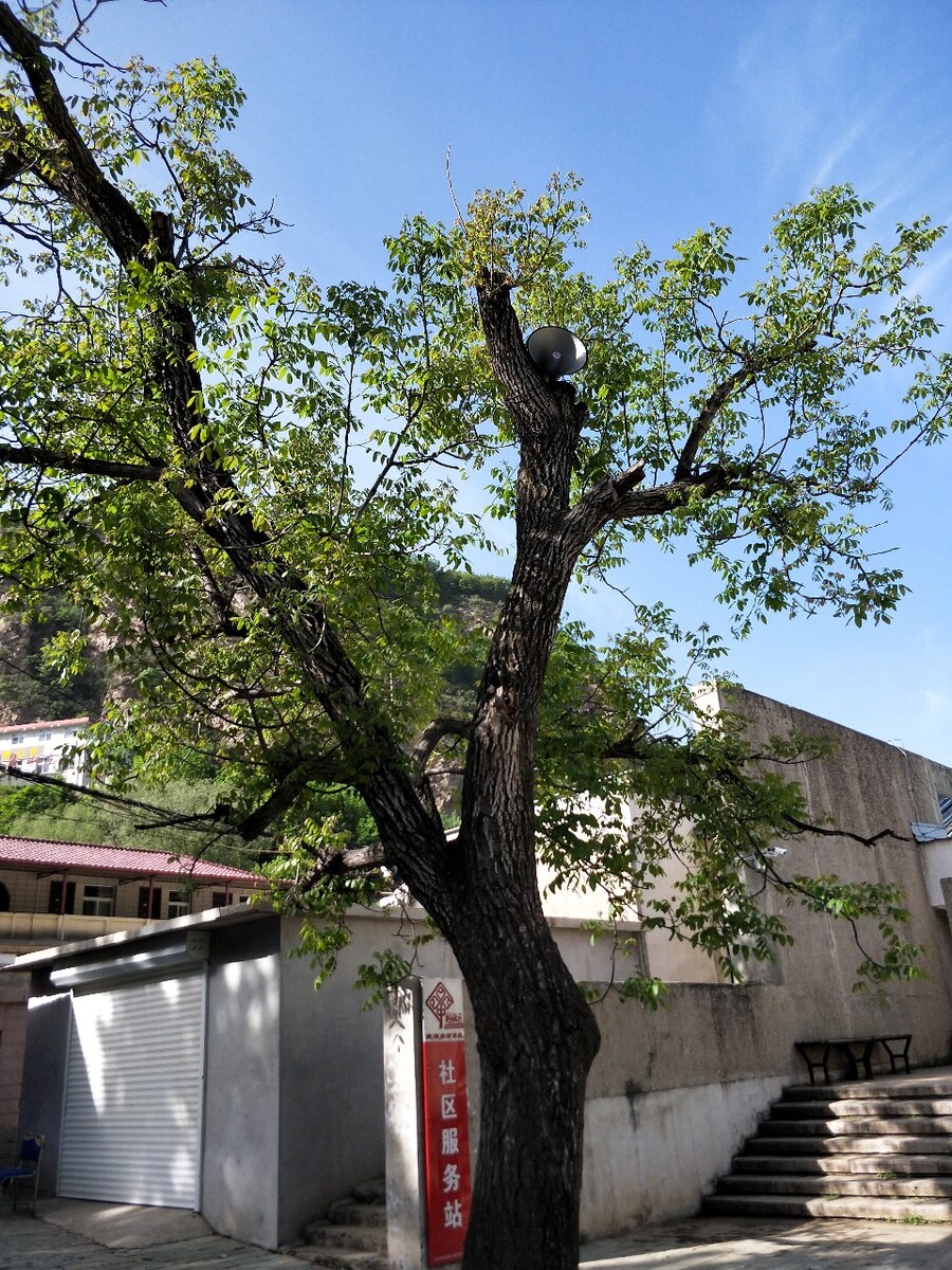 玻璃台