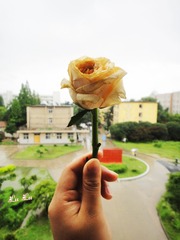 DSC1484.jpg