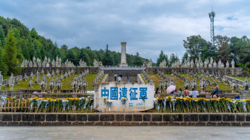 WLS09289