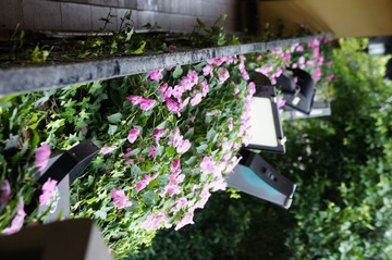 DSC03690.JPG