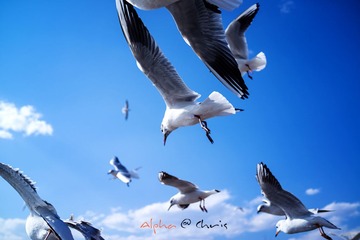 DSC00112.jpg