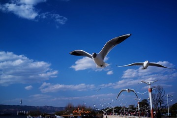 DSC00178.jpg
