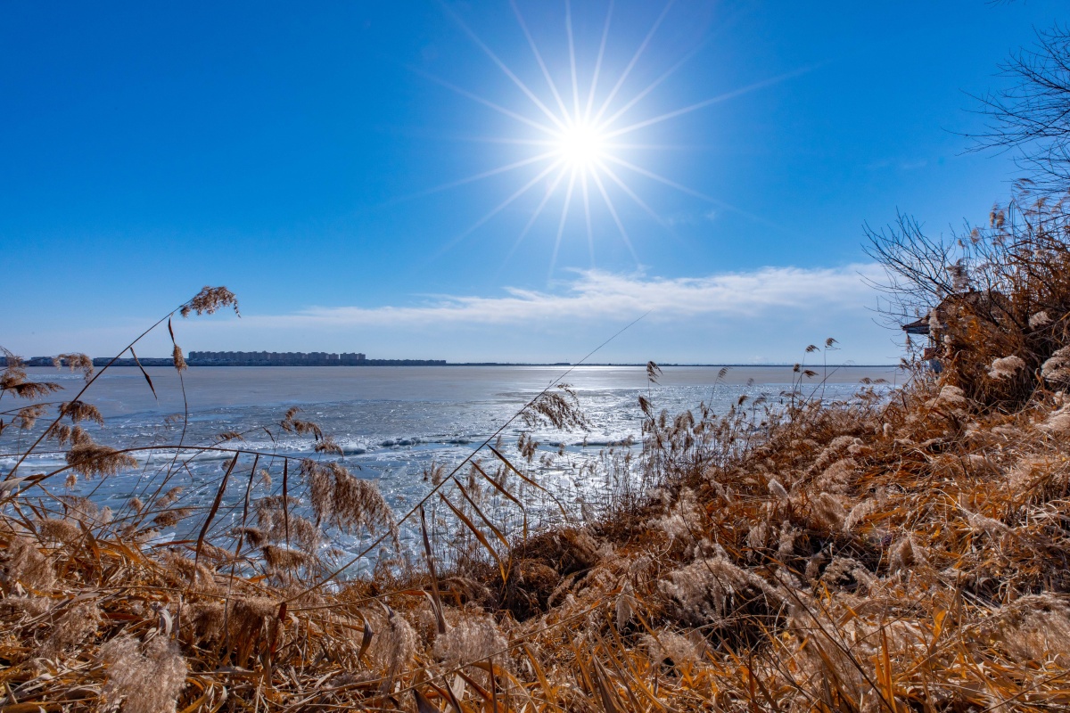 真的是另一番景夏天的太阳冬日暖阳美景冬天景象冬天的太阳温暖的