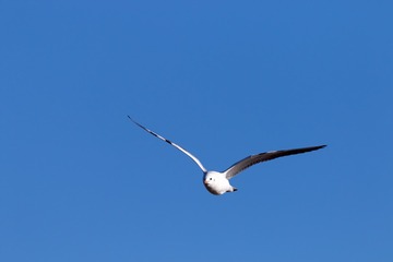031A0060