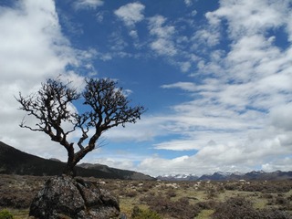DSCN1115.JPG