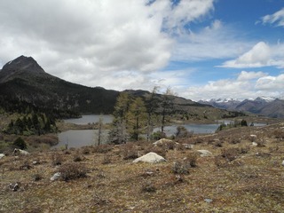 DSCN1137.JPG