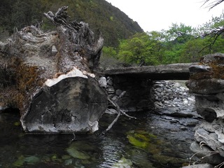 DSCN1330.JPG