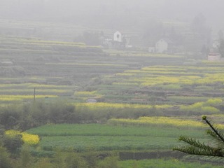 DSCN0471.JPG