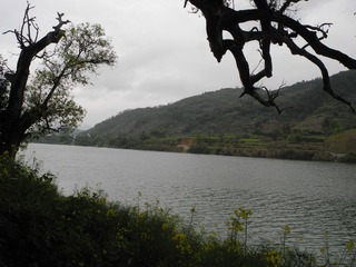 DSCN0563.JPG