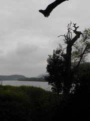 DSCN0566.JPG