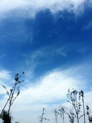 20130603_124934_2.jpg