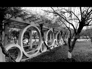 林荫道3.jpg