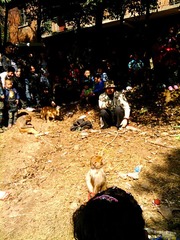 耍猴人2.jpg