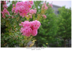 EPSN8596