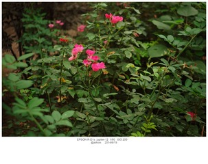 EPSN8603