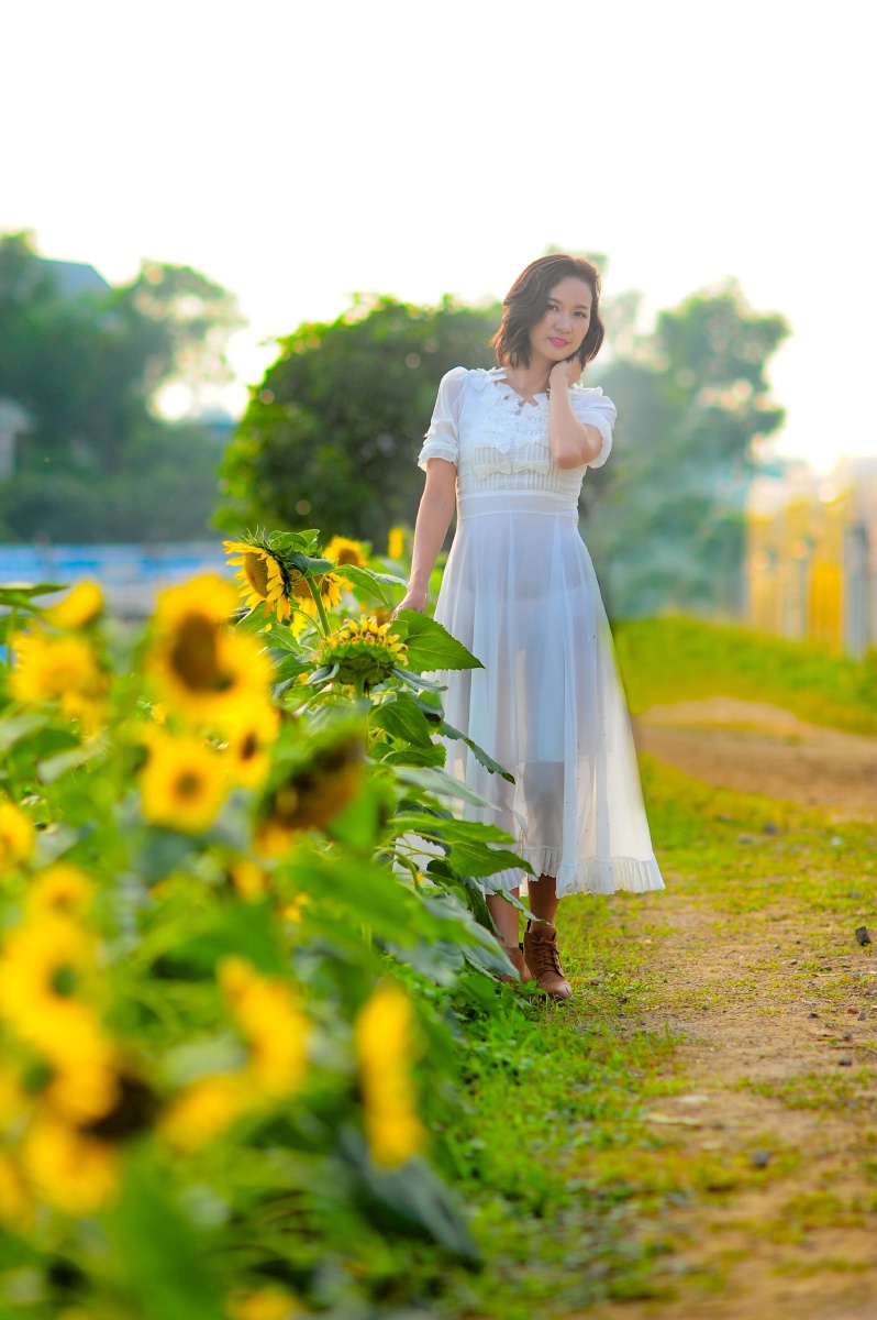 光明锦绣田园 - givein - 图虫摄影网