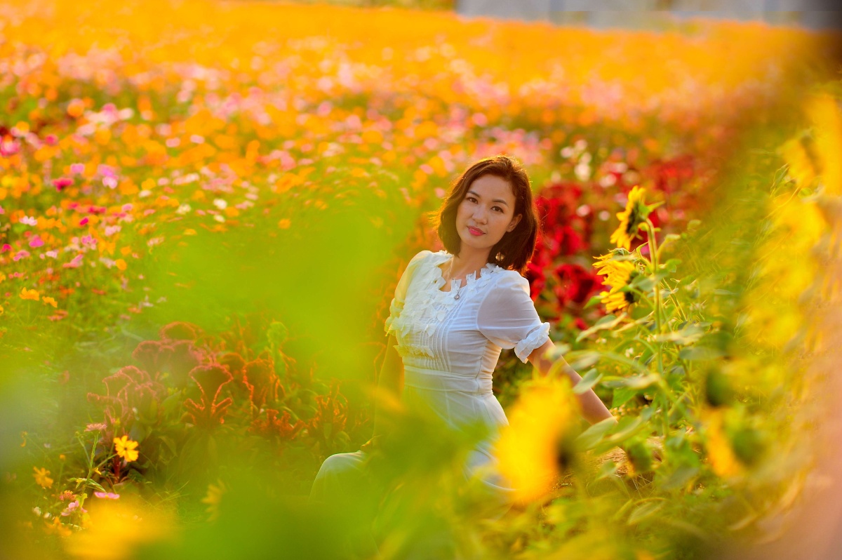 光明锦绣田园 - givein - 图虫摄影网