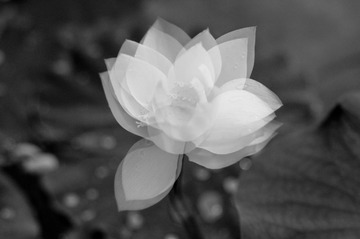 2013-06-12-1515-1.jpg
