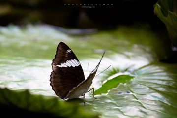 _MG_5166.jpg