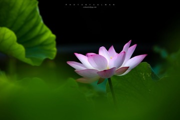_MG_5212-编辑.jpg