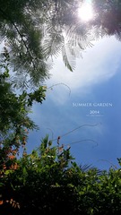 20140619_125125