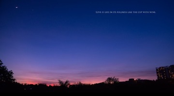 _DSC7564