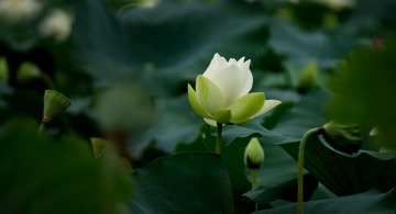 _DSC8571