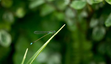 _DSC8803