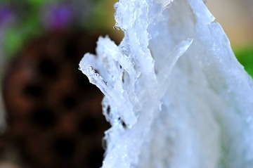 _DSC1217