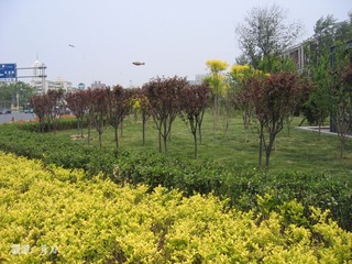 20130522 (45).jpg
