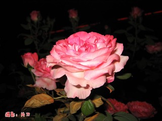 20130523 (30).jpg