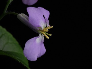 IMG_3157_