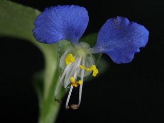 IMG_5079_