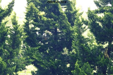 DSCF0650.JPG
