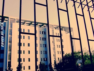 DSCF0710.JPG