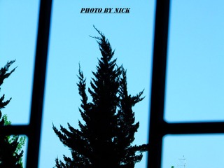 DSCF0714.JPG