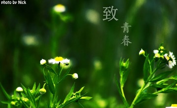 DSCF0905_副本.jpg