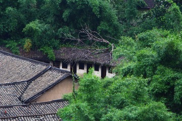 IMG_3762.jpg
