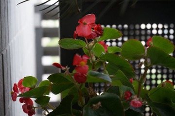 DSC00062.JPG
