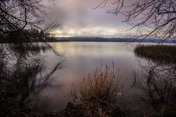 D3S_1611.jpg