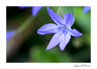 DSC_8149
